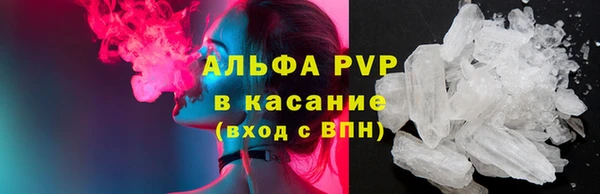 сатива Баксан
