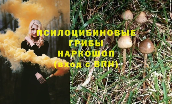 сатива Баксан