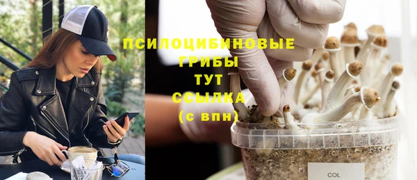 мет Арсеньев