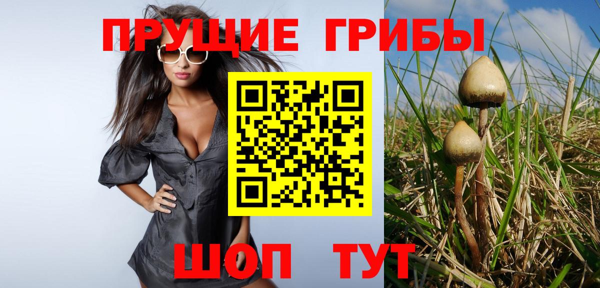 Псилоцибиновые грибы прущие грибы  как найти закладки  Новомосковск  Вход с VPN 